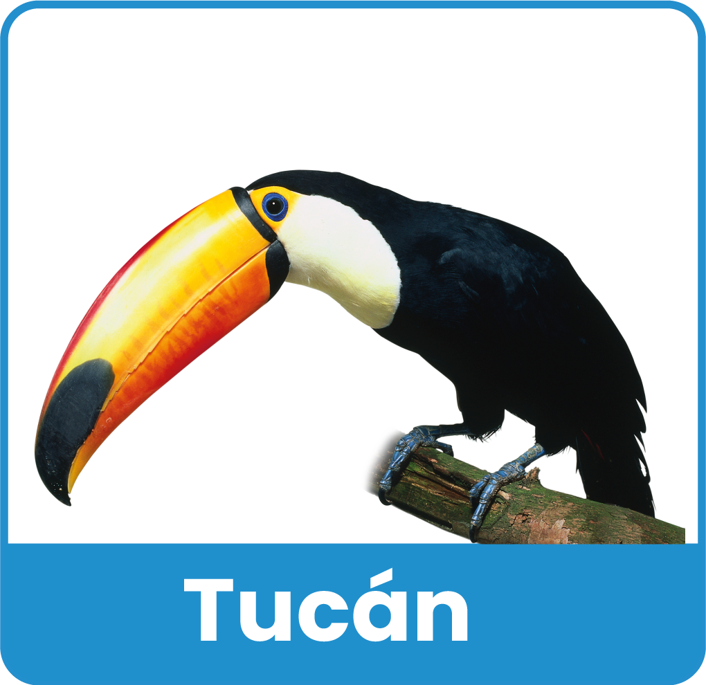 Animal del Zoologico 2