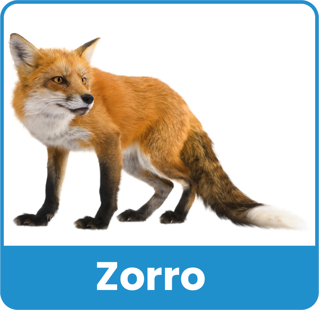 Animal del Zoologico 8