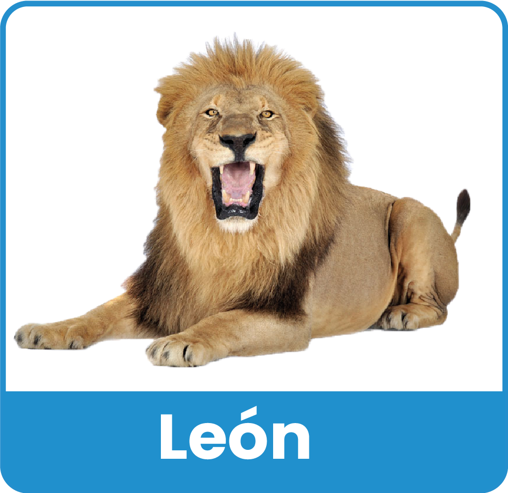 Animal del Zoologico 9