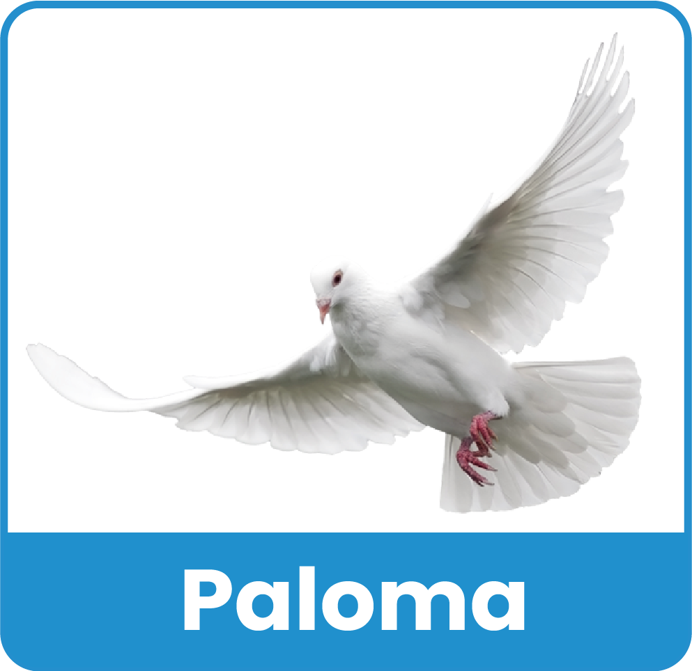 Animal del Zoologico 13