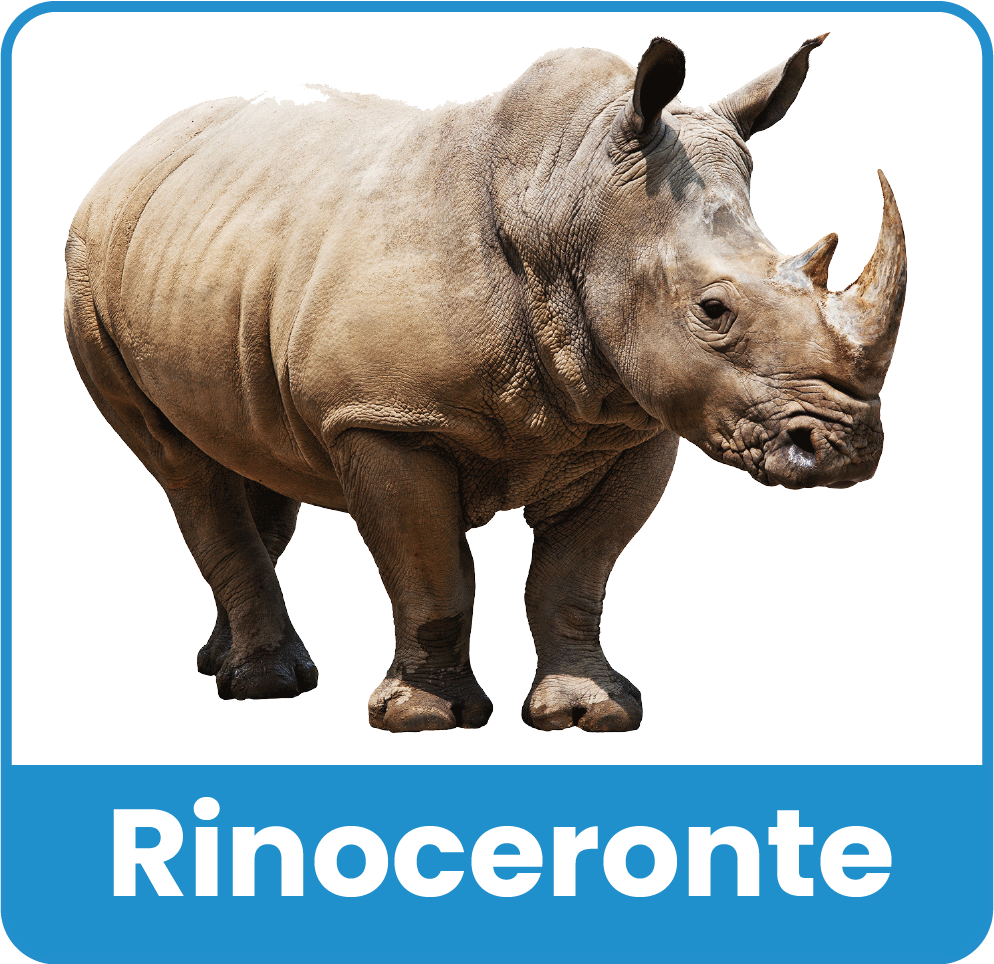 Animal del Zoologico 14