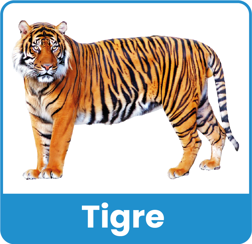 Animal del Zoologico 23