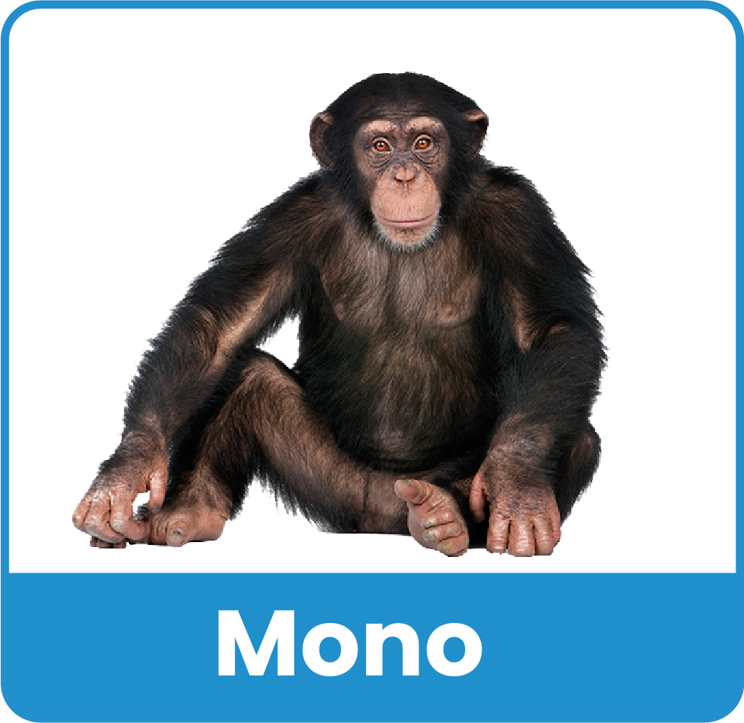 Animal del Zoologico 24